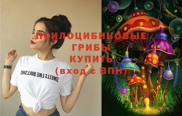 наркотики Белокуриха