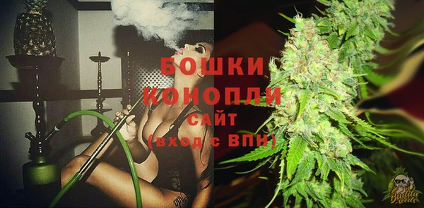ПСИЛОЦИБИНОВЫЕ ГРИБЫ Беломорск