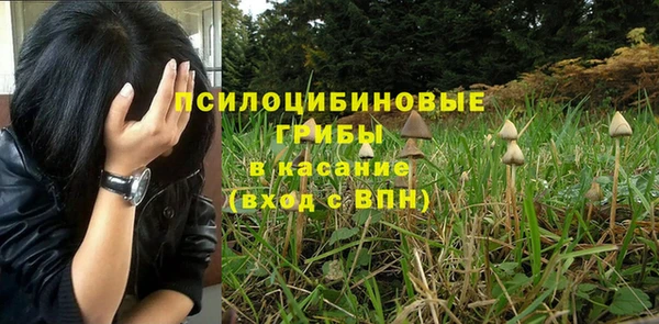 наркотики Белокуриха