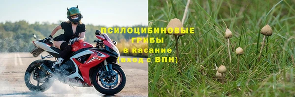 крисы Богородицк